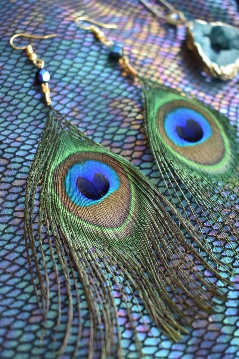 Buddhatrends A6 Extra Long Feather Earrings